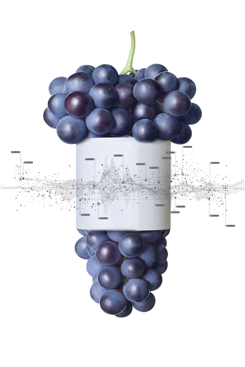 Data marketplace made in Beaujolais