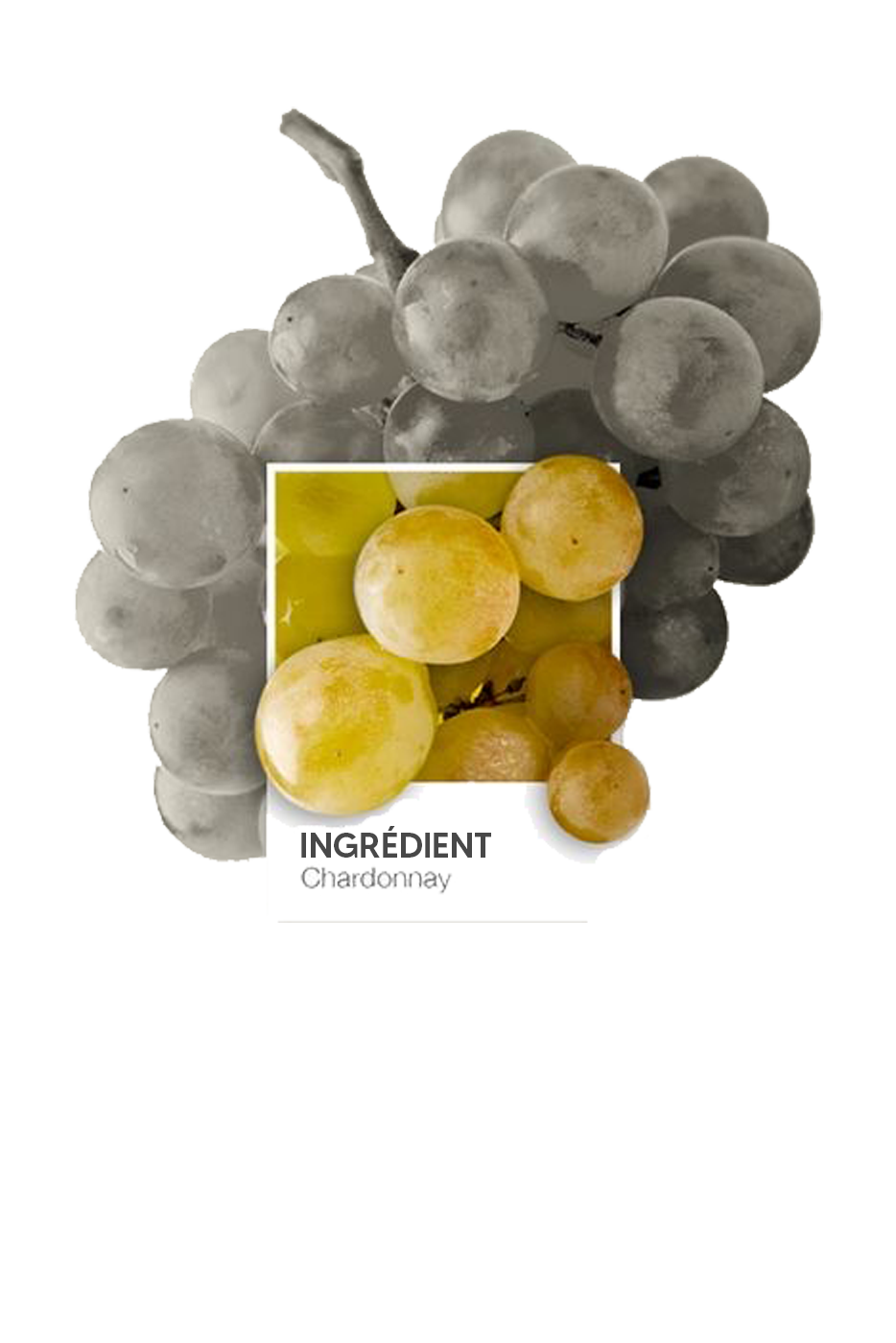 ecommerce - PIM - Made in Beaujolais